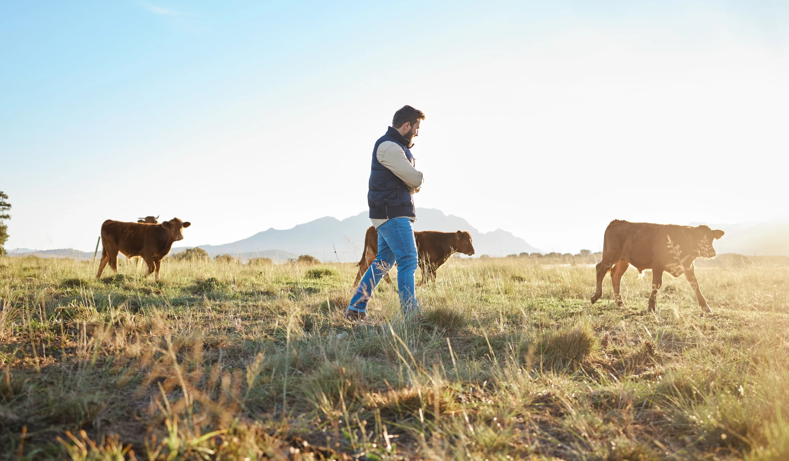 Agricultor decidindo em qual safra vai consorciar